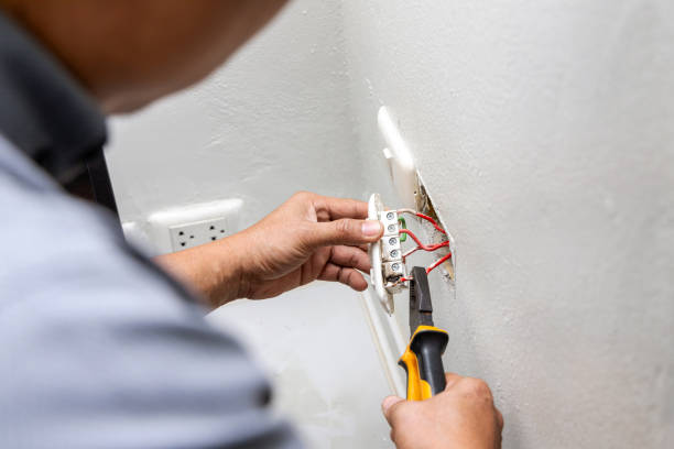 Best Electric Panel Repair  in Fox Lake, IL