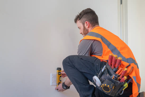 Best Electrical Troubleshooting Services  in Fox Lake, IL